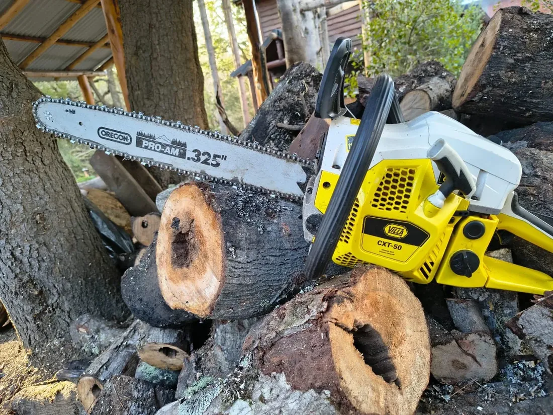 Motosierra profesional preparada para el apeo controlado de un árbol