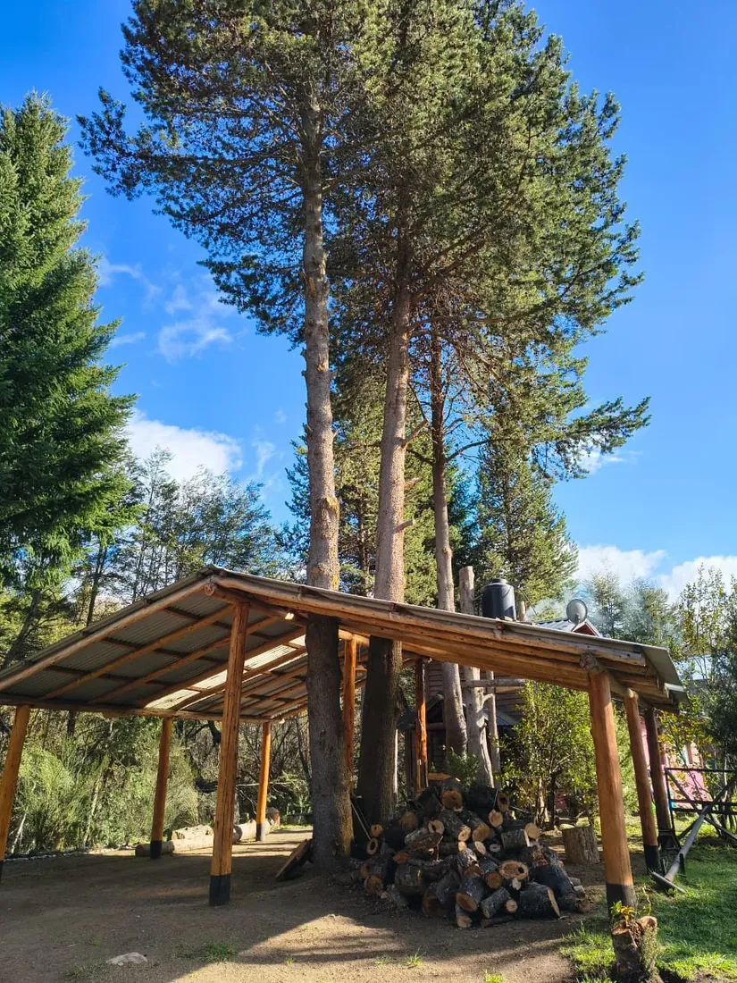 Troncos preparados bajo una estructura de madera en un entorno arbolado